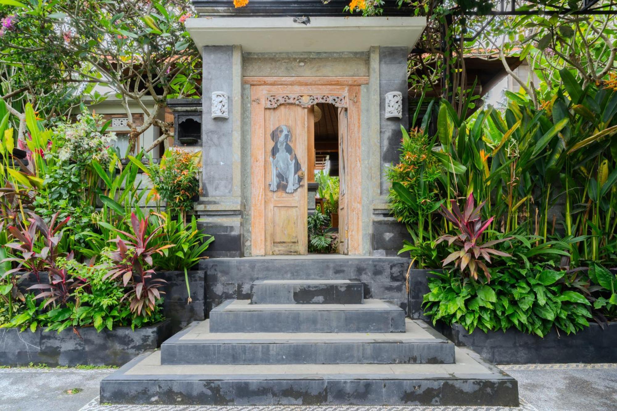 3 Beagle Ubud