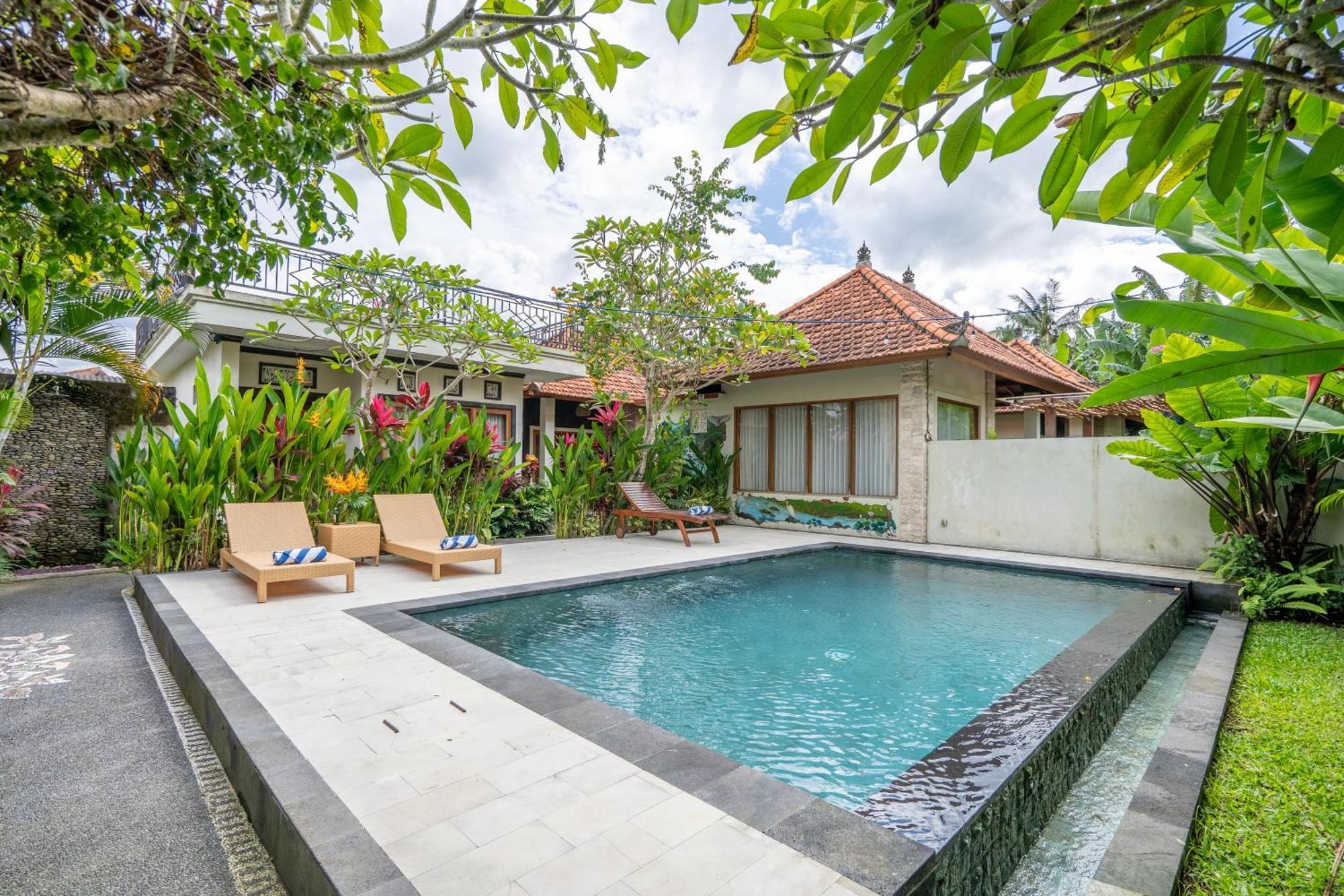 3 Beagle Ubud