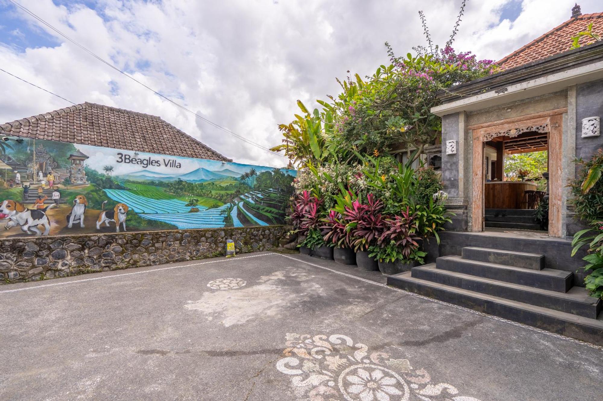 3 Beagle Casa de hóspedes Ubud