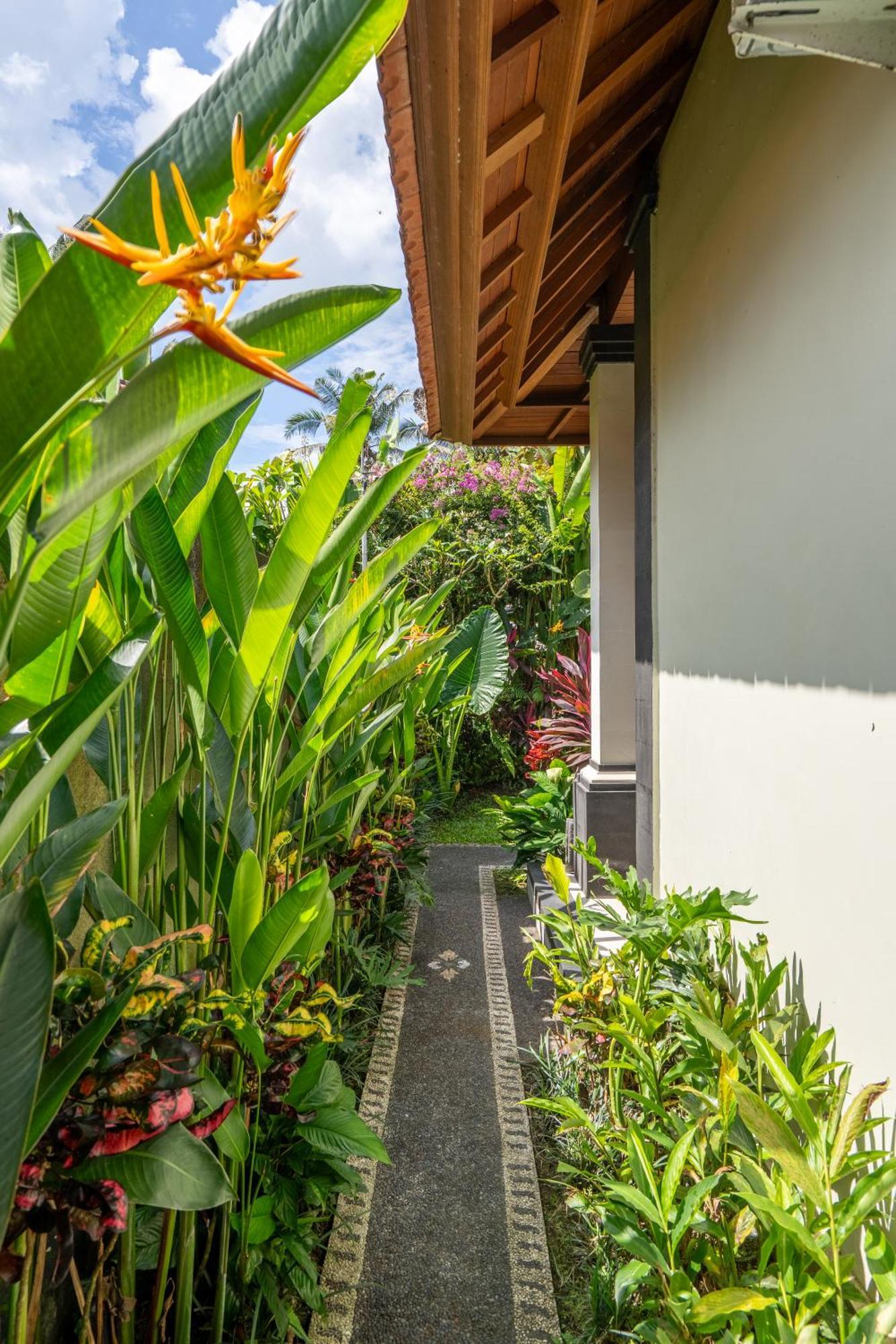 3 Beagle Ubud
